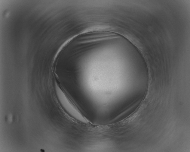 X0000067510912200604211747