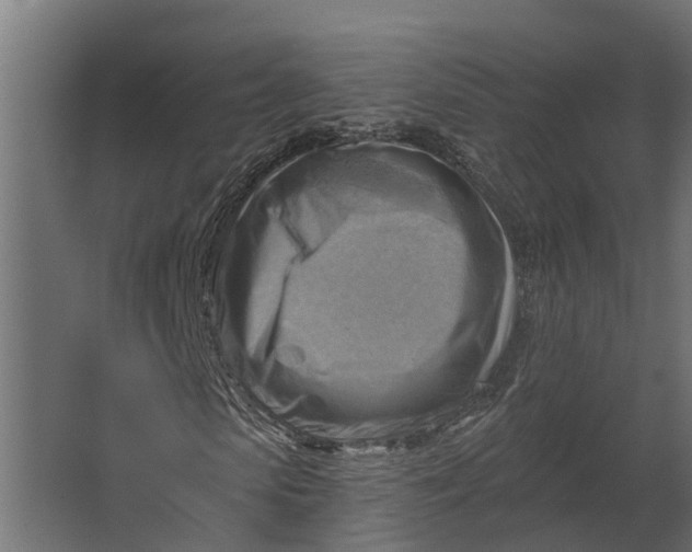 X0000067510913200604211747