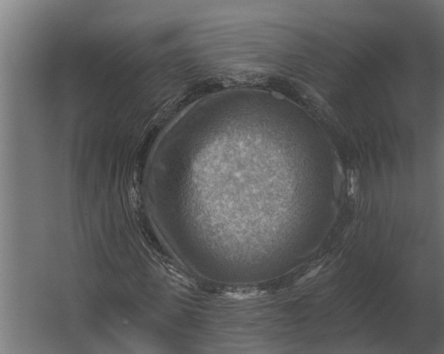 X0000067510915200604211747