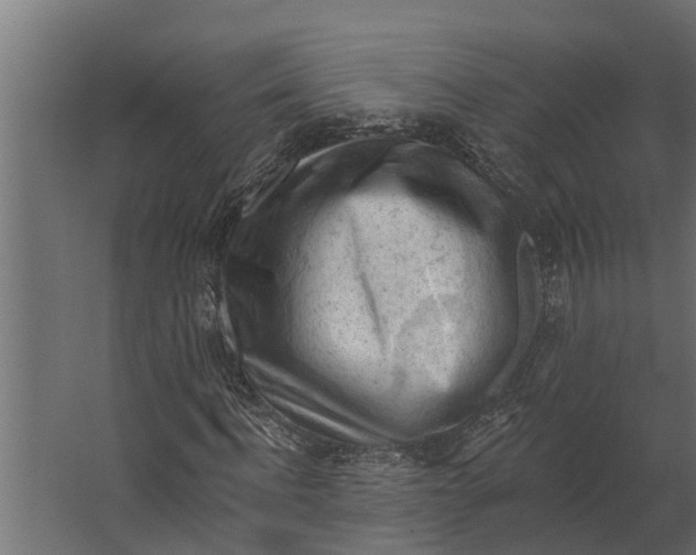 X0000067510916200604211747