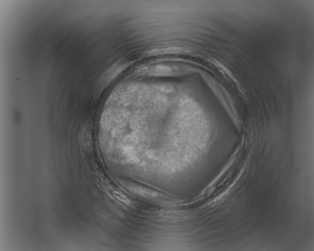 X0000067510921200604211747