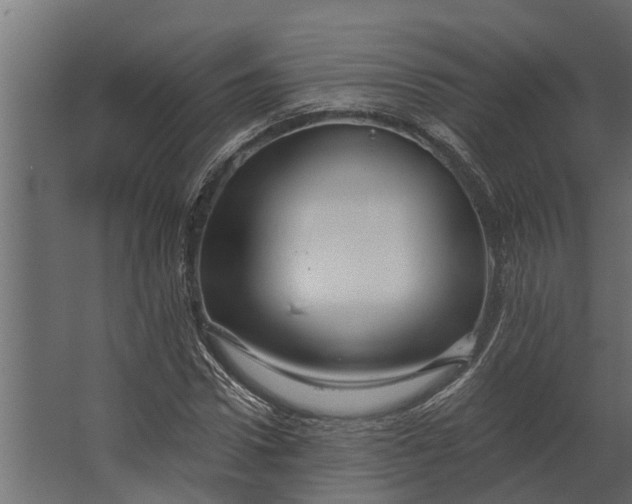 X0000067510922200604211747