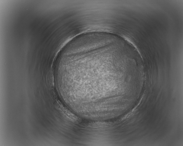 X0000067510925200604211747