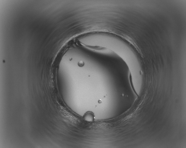 X0000067510926200604211747