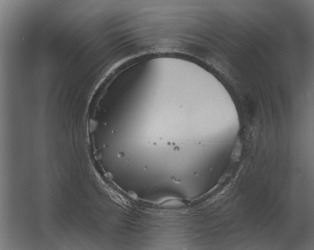 X0000067510934200604211747