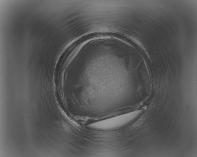 X0000067510935200604211747