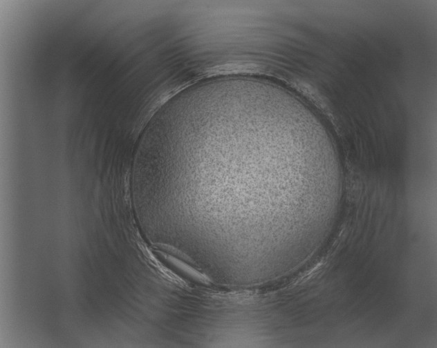 X0000067510937200604211747