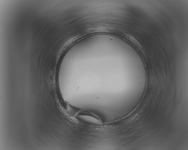 X0000067510938200604211747