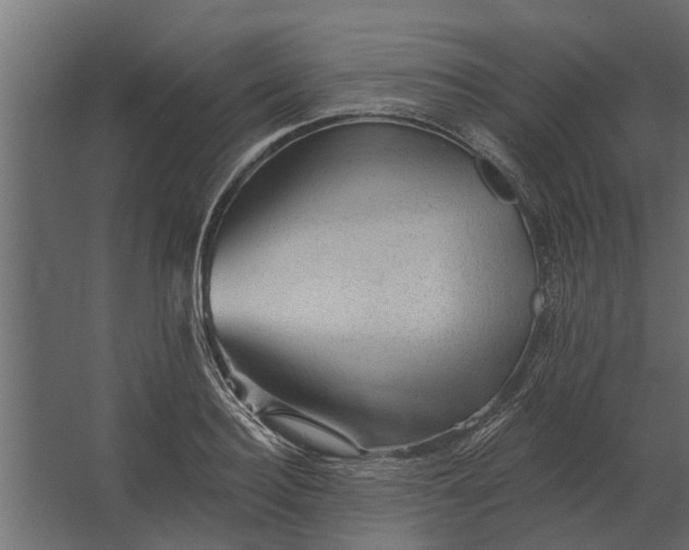 X0000067510940200604211747