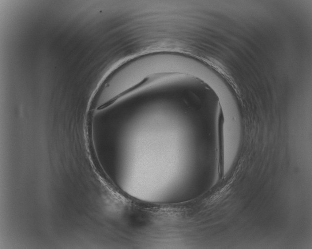 X0000067510942200604211747