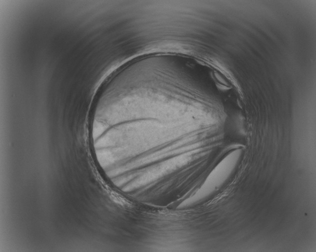 X0000067510944200604211747