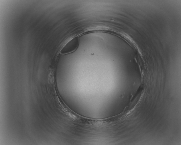 X0000067510945200604211747