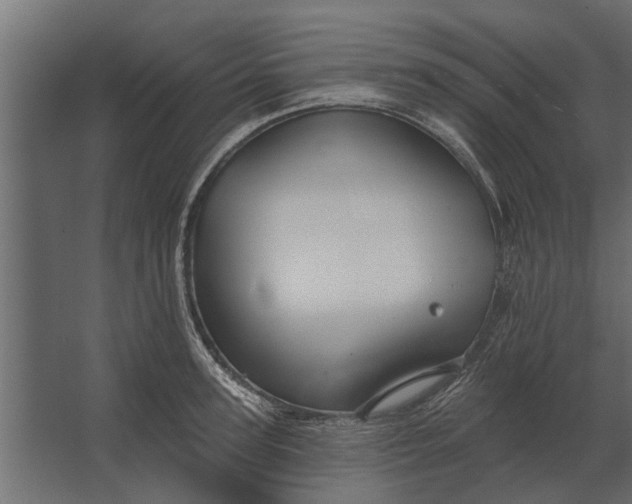 X0000067510947200604211747