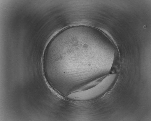 X0000067510949200604211747