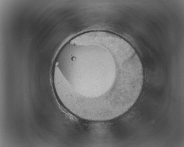 X0000067510950200604211747