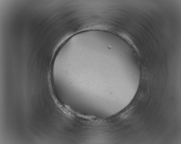 X0000067510952200604211747