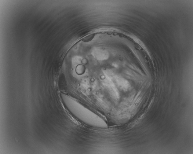 X0000067510953200604211747