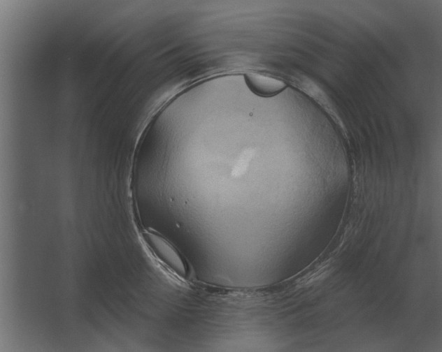 X0000067510954200604211747