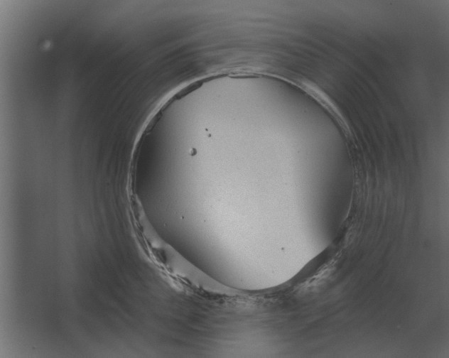 X0000067510956200604211747