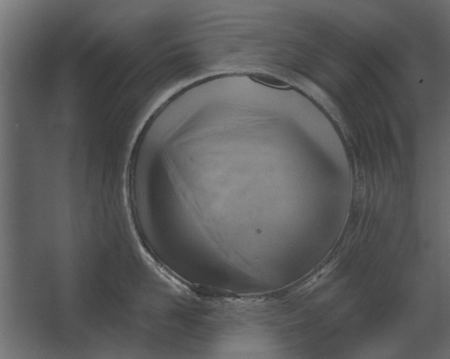 X0000067510958200604211747