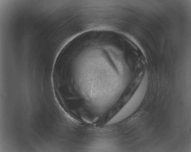 X0000067510959200604211747