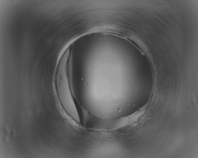 X0000067510960200604211747