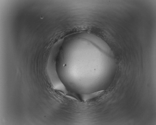 X0000067510961200604211747