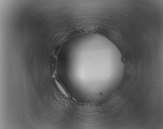 X0000067510962200604211747