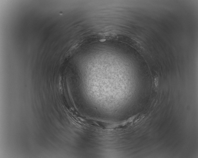 X0000067510963200604211747