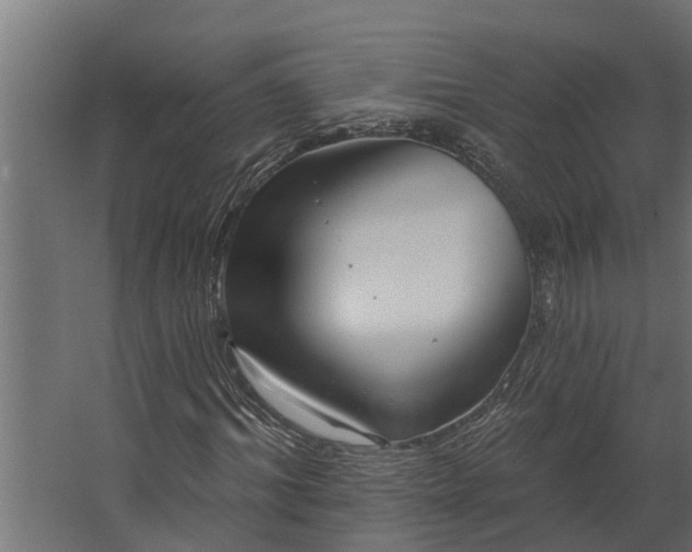 X0000067510964200604211747