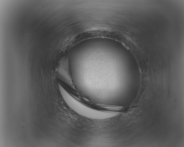 X0000067510965200604211747