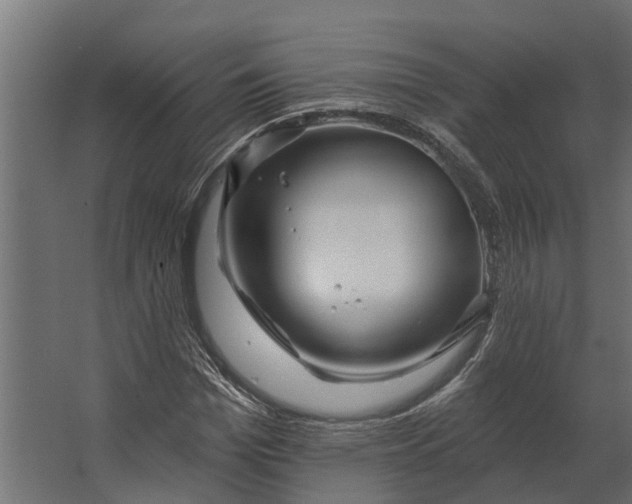 X0000067510969200604211746