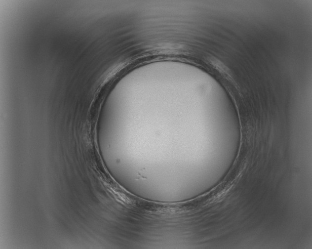 X0000067510970200604211746