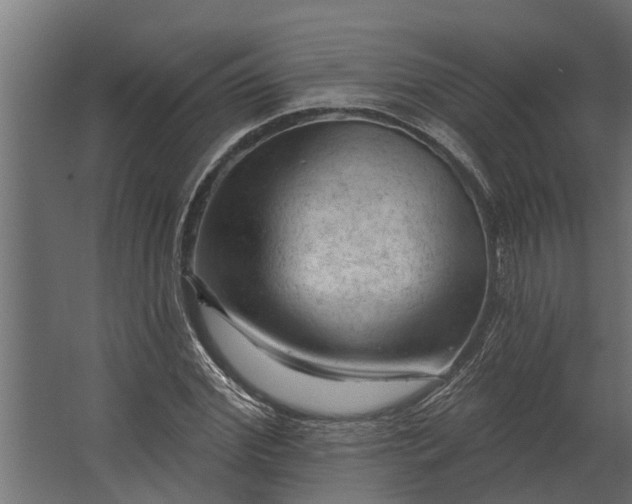 X0000067510972200604211746