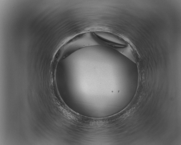 X0000067510973200604211746