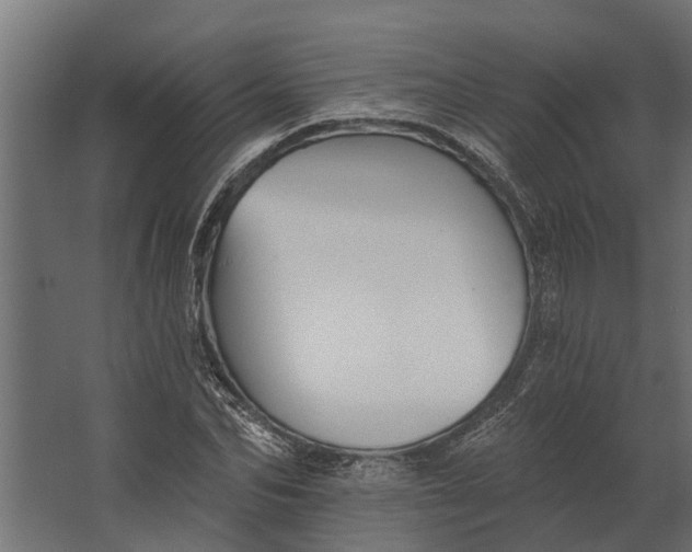 X0000067510974200604211746