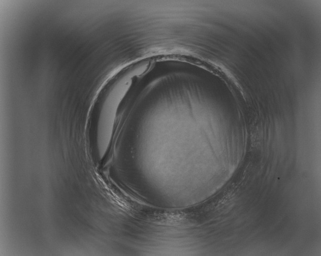 X0000067510975200604211746