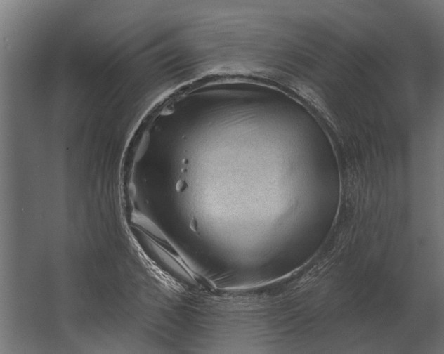 X0000067510976200604211746