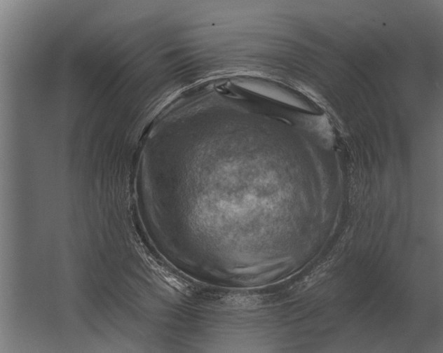 X0000067510977200604211746