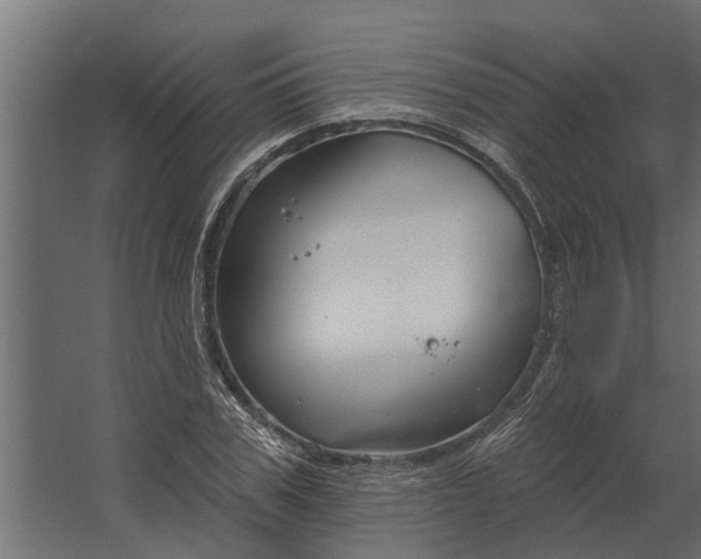 X0000067510979200604211746