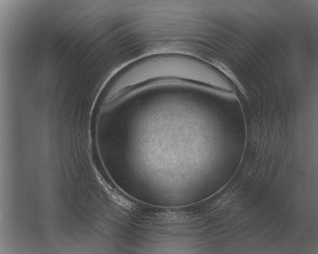 X0000067510980200604211746