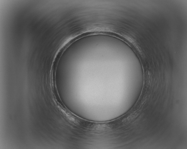 X0000067510982200604211746