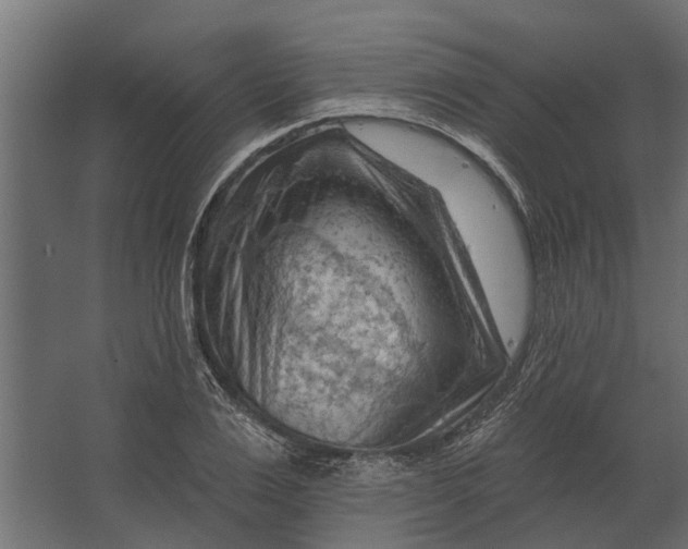 X0000067510983200604211746