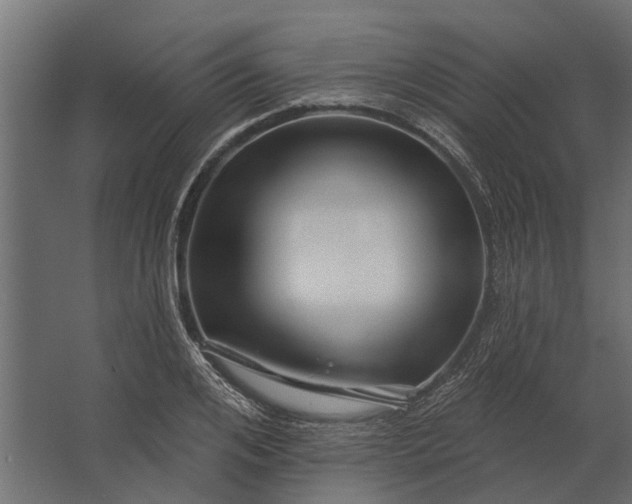 X0000067510984200604211746