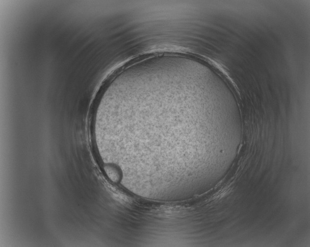 X0000067510987200604211746