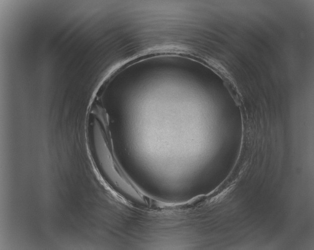 X0000067510989200604211746