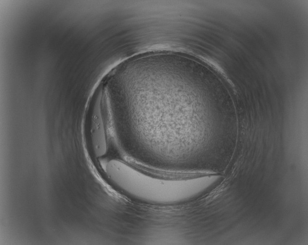 X0000067510991200604211746