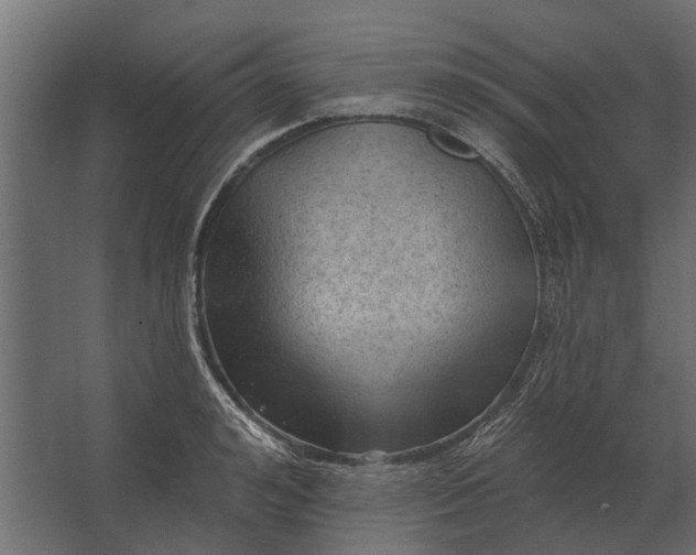 X0000067510992200604211746