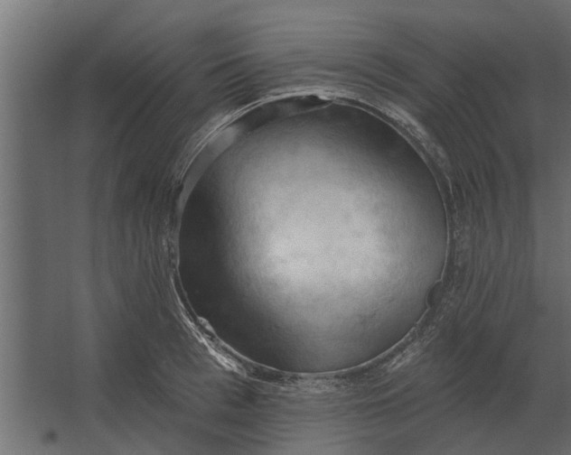 X0000067510993200604211746