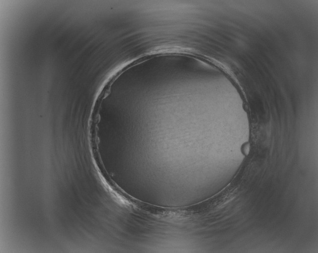 X0000067510995200604211746